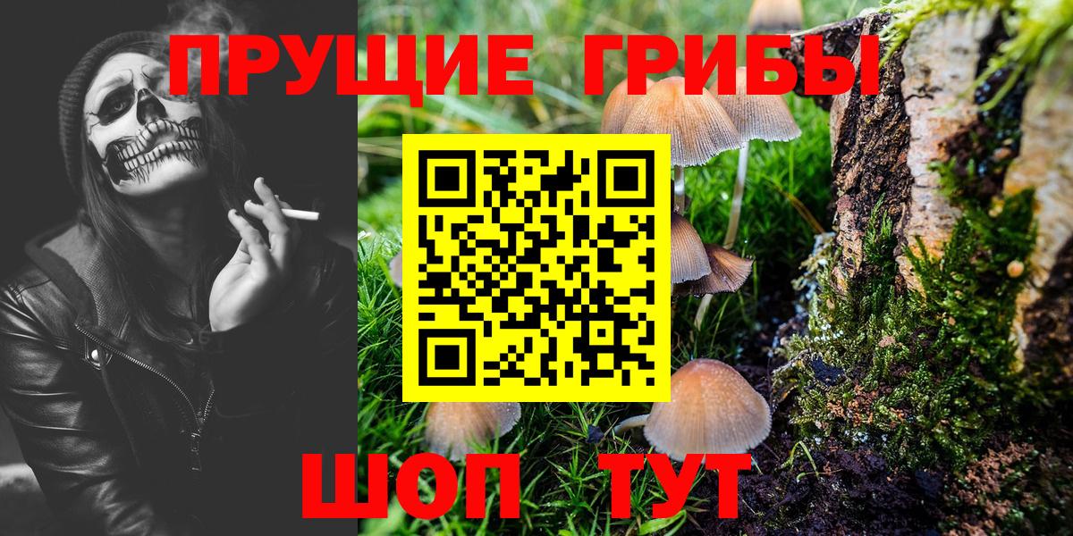 Псилоцибиновые грибы GOLDEN TEACHER Анапа