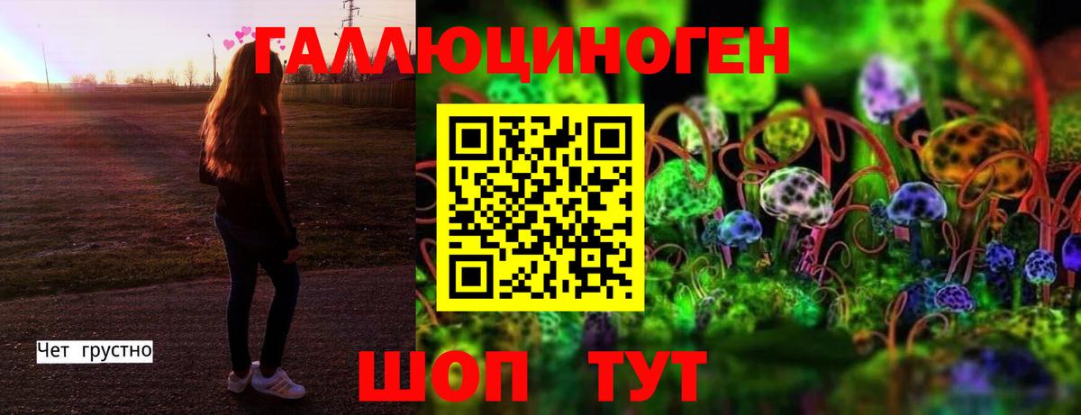 купить наркотики сайты  Вход с VPN  Анапа  Псилоцибиновые грибы Psilocybe 